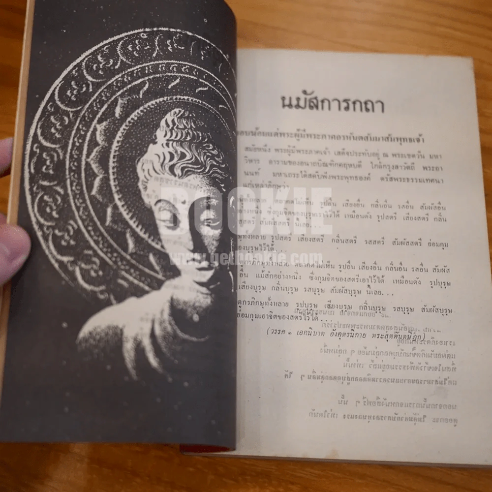 กามตัณหา - ภิกษุ ชยานันโท (พระอนันต์ เสนาขันธ) รูปที่ 14