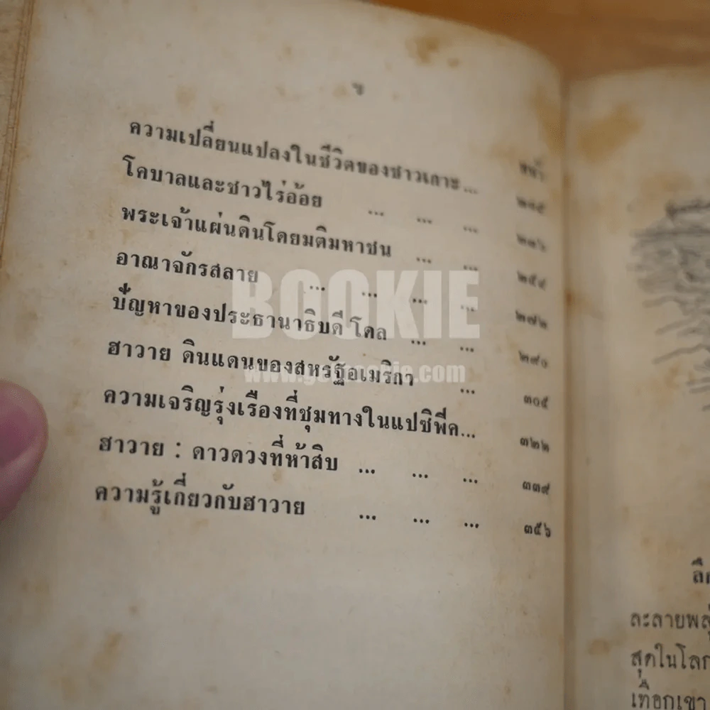 ฮาวาย ดาวดวงที่ห้าสิบ - พงษ์ศรี เลขะวัฒนะ รูปที่ 9