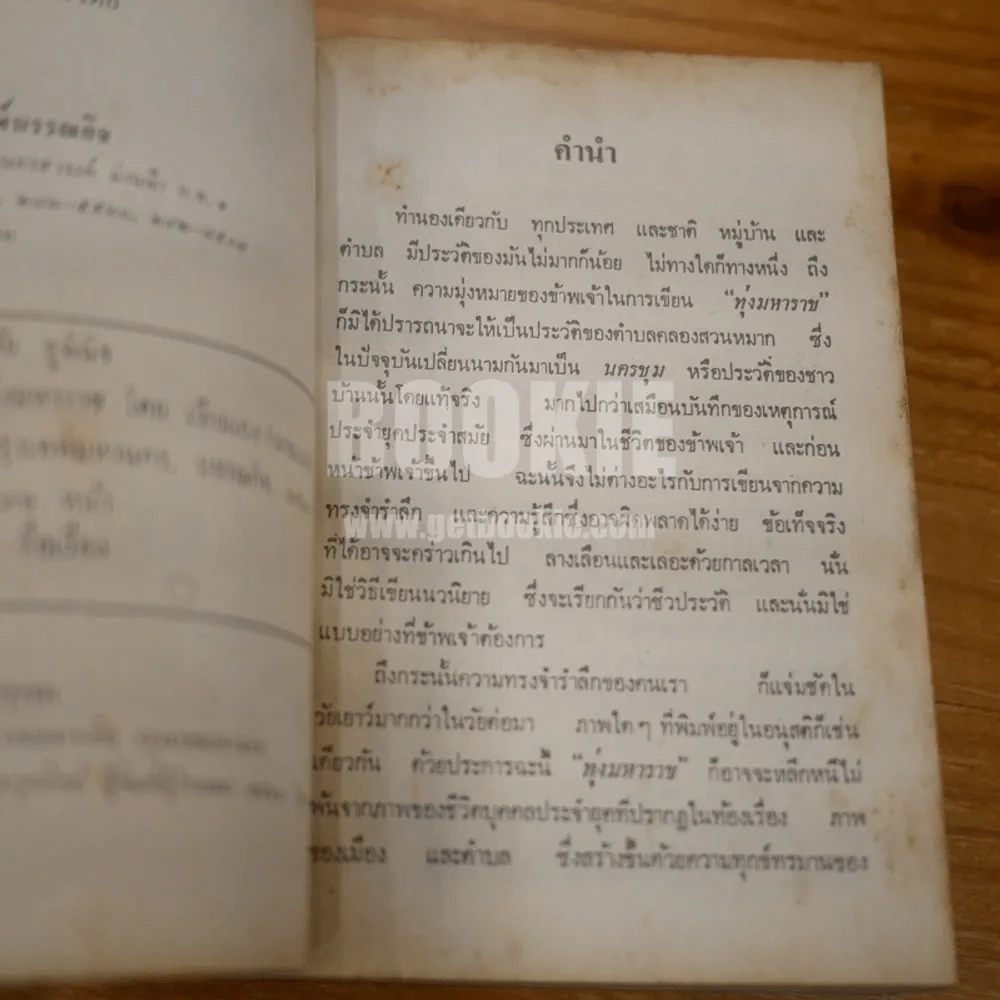 ทุ่งมหาราช - เรียมเอง รูปที่ 8
