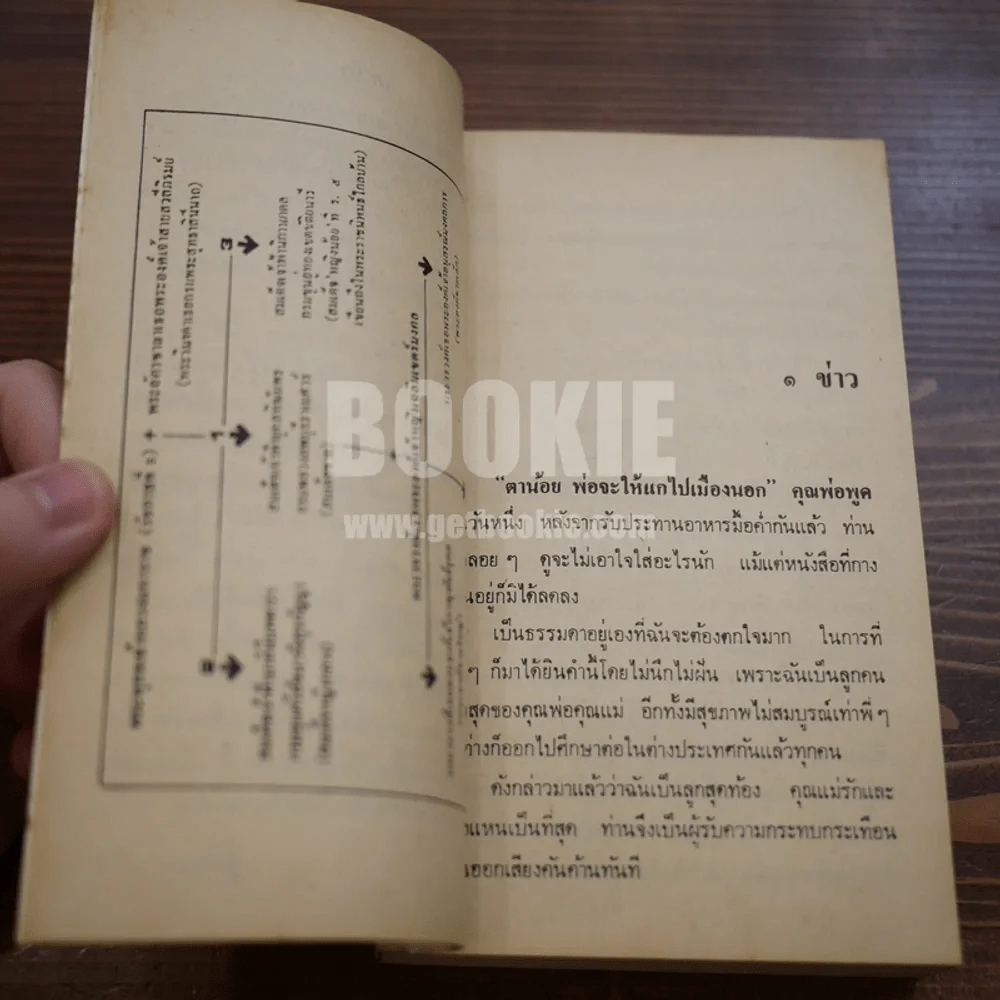 ไปเมืองนอก - พระเจ้าวรวงศ์เธอพระองค์เจ้าอนุสรณ์มงคลการ รูปที่ 10