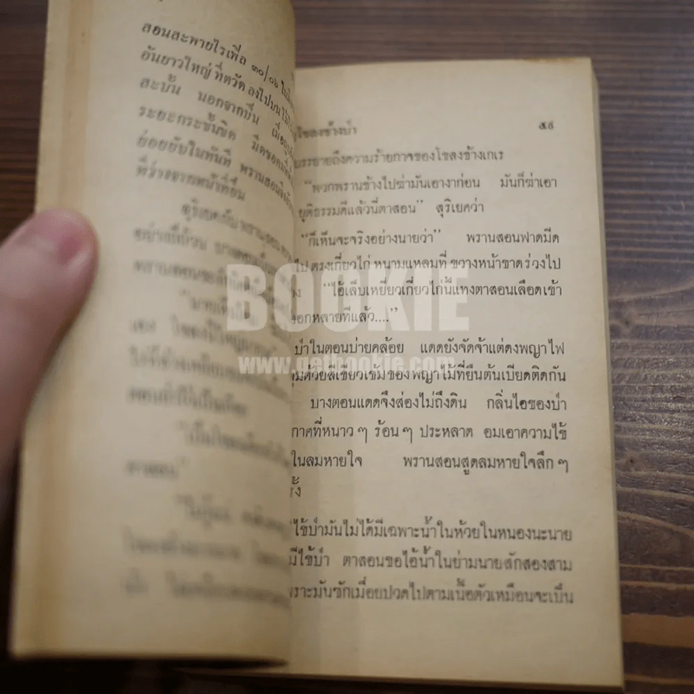 ดงพญาไฟ - ชาลี เอี่ยมกระสินธุ์ รูปที่ 8
