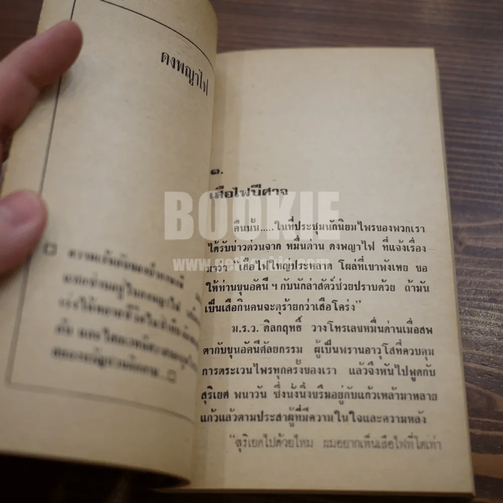 ดงพญาไฟ - ชาลี เอี่ยมกระสินธุ์ รูปที่ 7