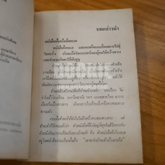 เขาหาว่าข้าพเจ้าเป็นมาเฟีย - ชลอ วนะภูติ รูปที่ 11