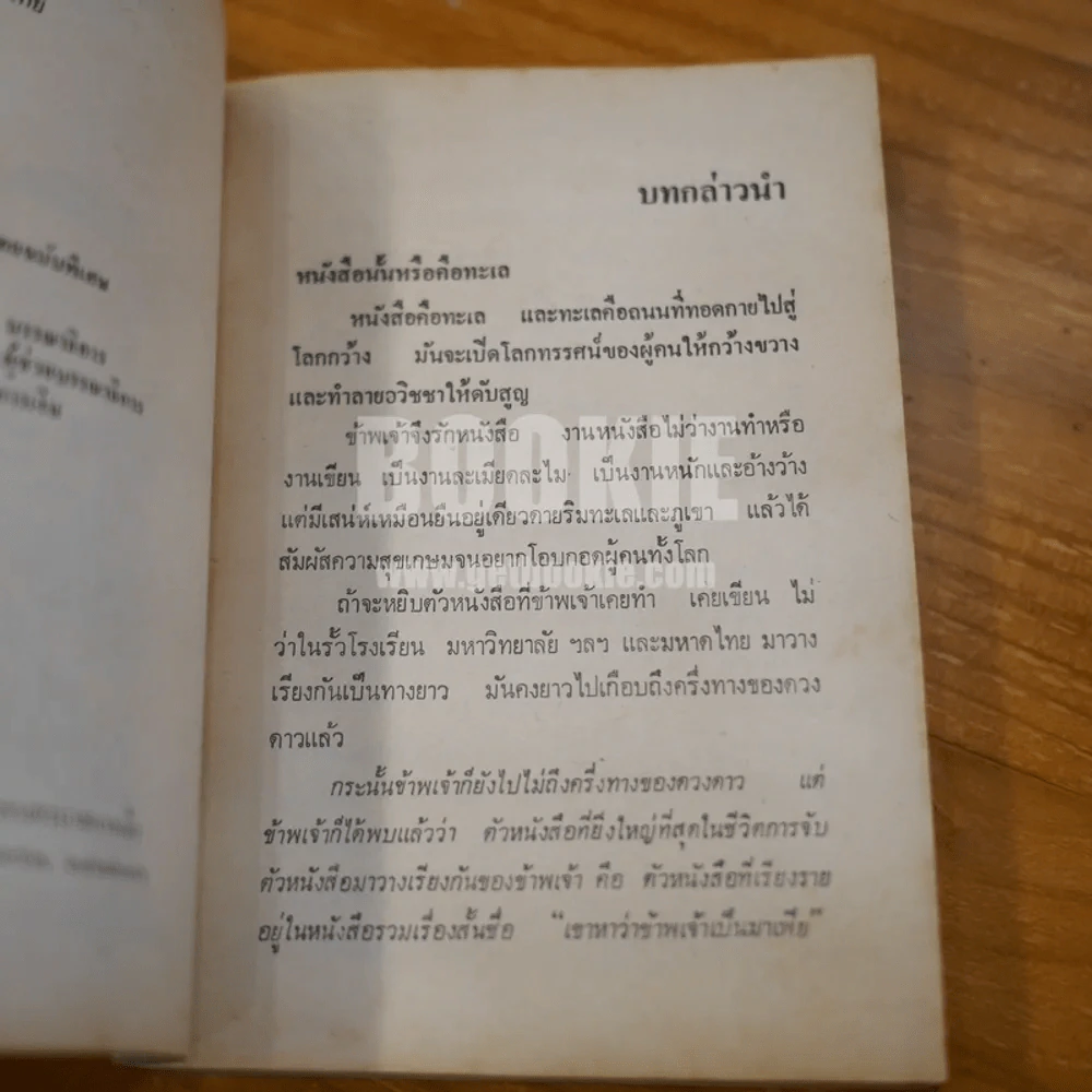 เขาหาว่าข้าพเจ้าเป็นมาเฟีย - ชลอ วนะภูติ รูปที่ 11