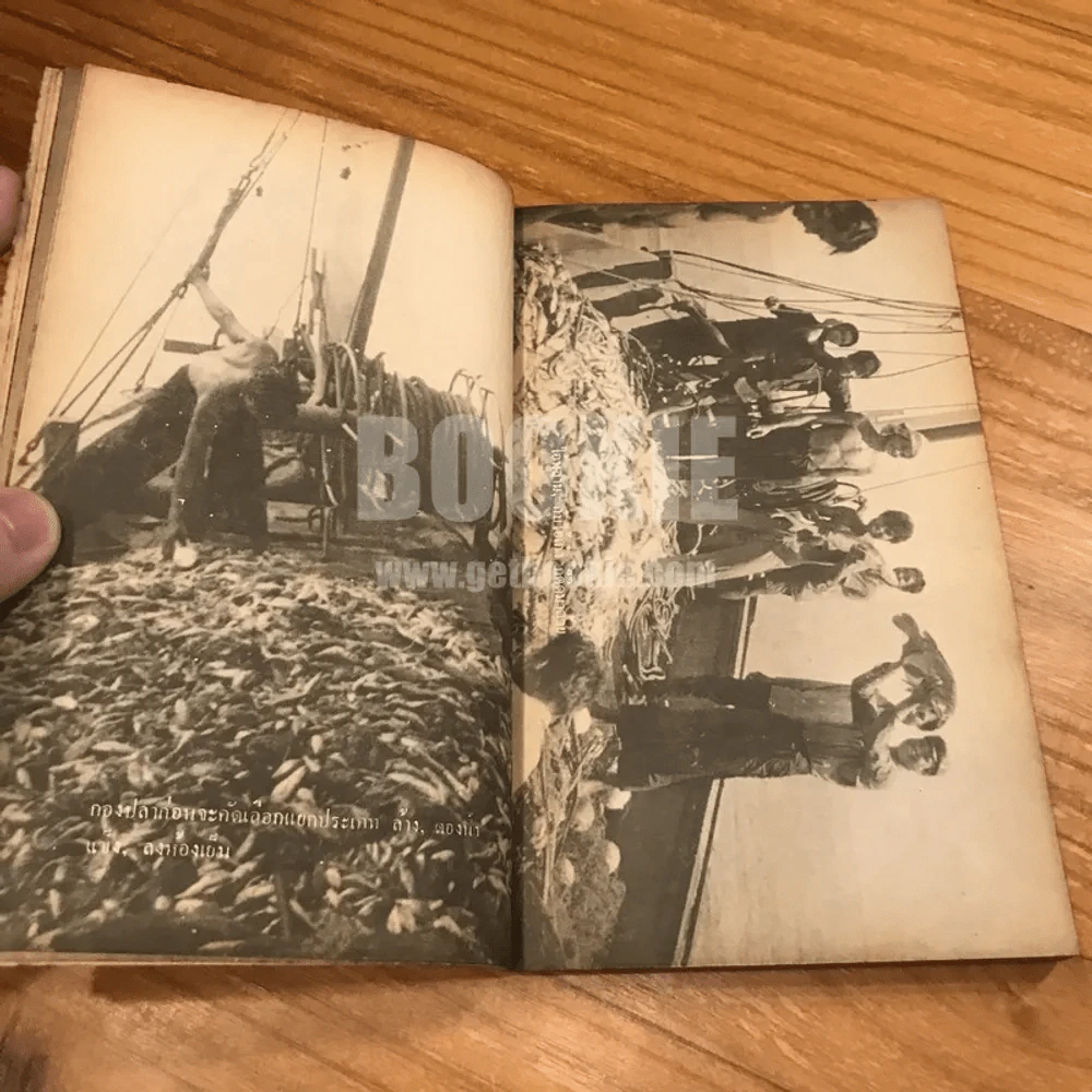 ทะเล - มงคล วัชรางค์กุล รูปที่ 10
