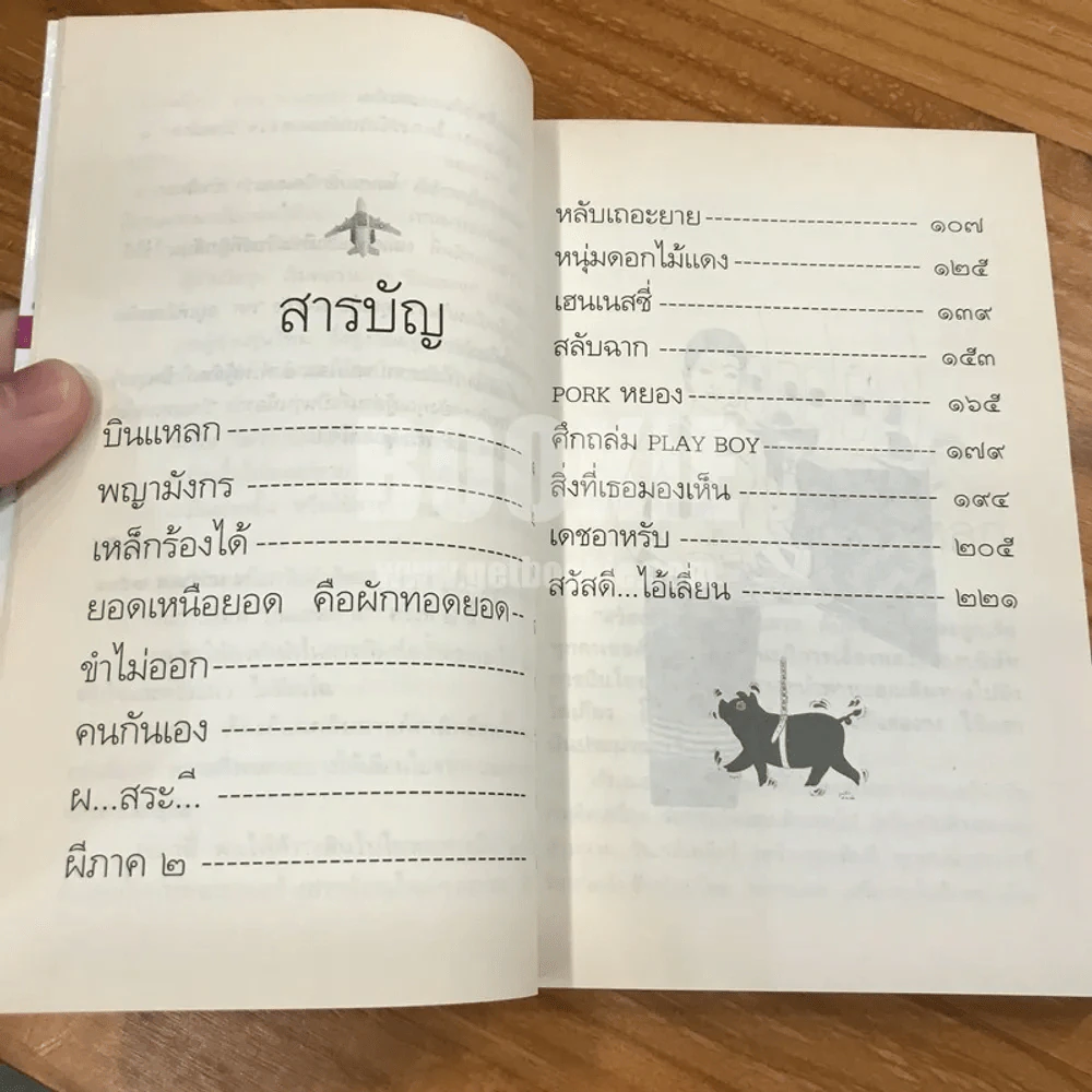 บินแหลก  - อีแร้ง รูปที่ 6