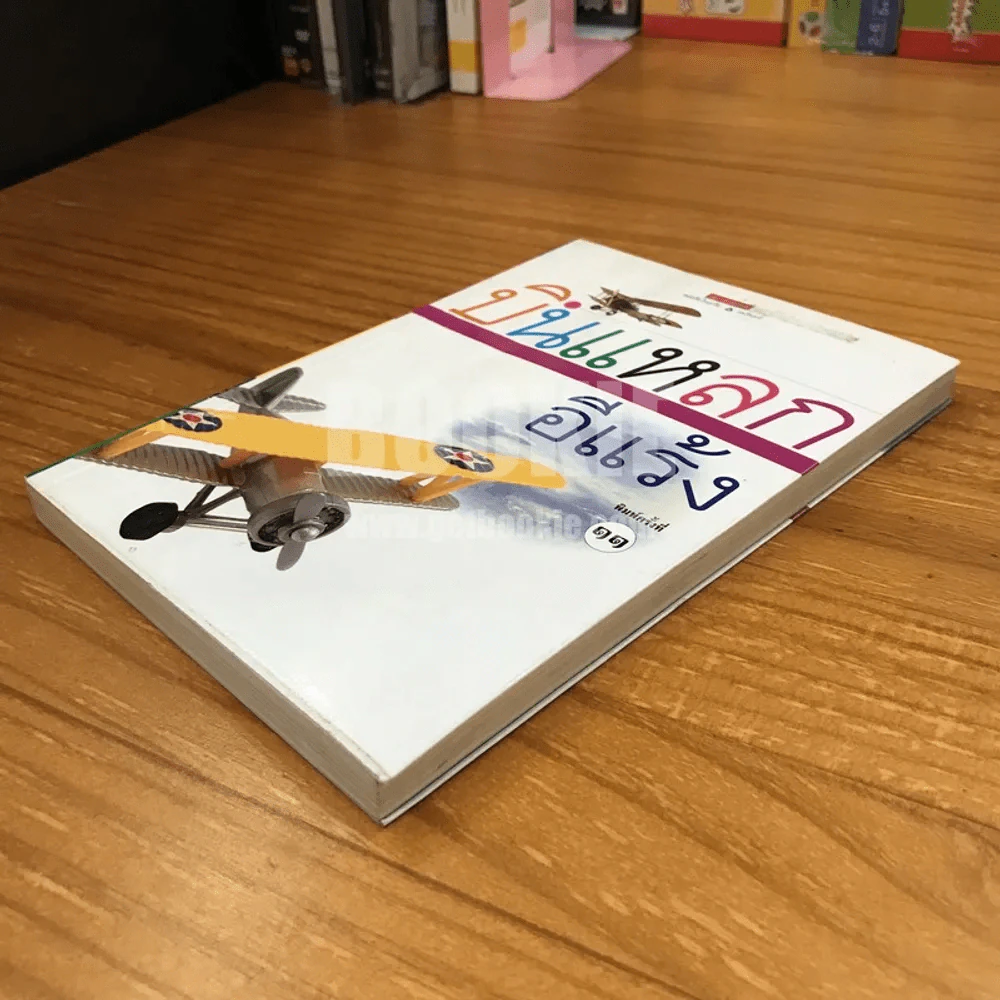 บินแหลก  - อีแร้ง รูปที่ 3