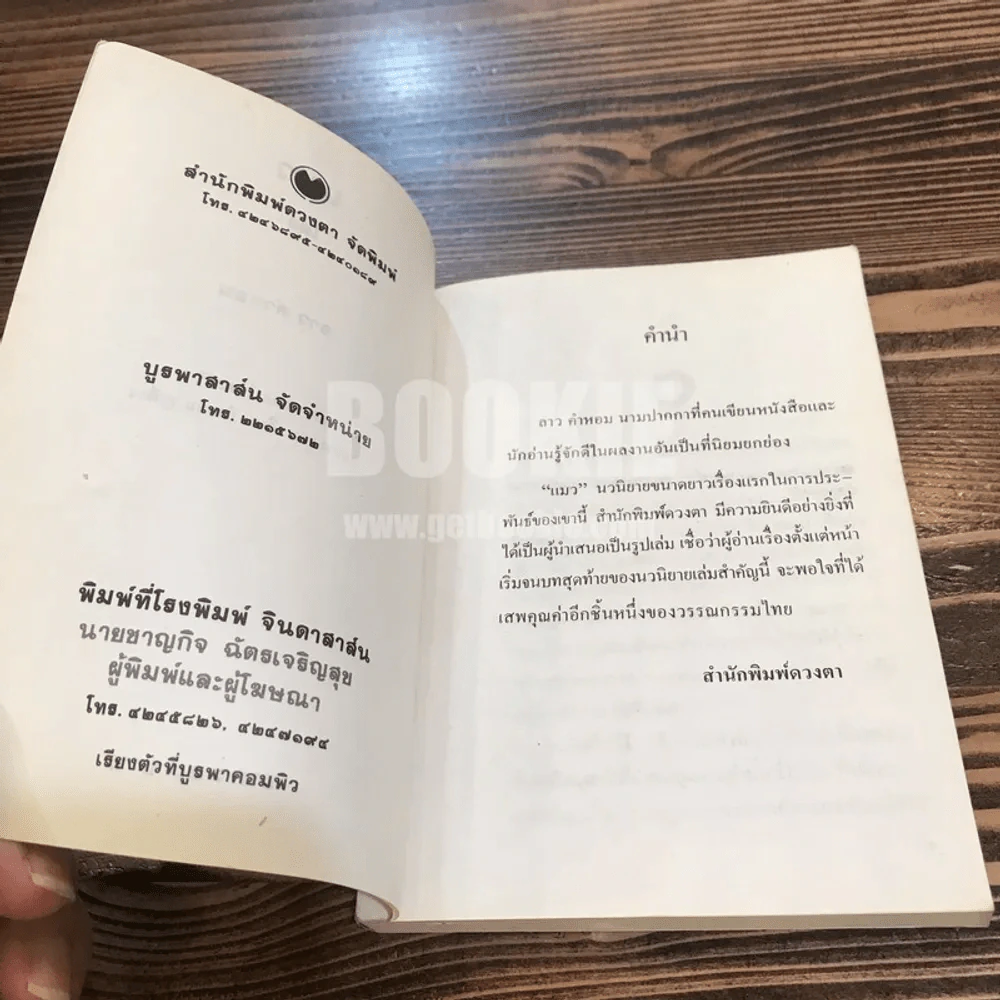 แมว - ลาว คำหอม รูปที่ 5