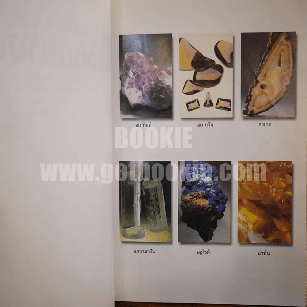 มหัศจรรย์พลังหินบำบัด - จุฑามาศ ณ สงขลา รูปที่ 4