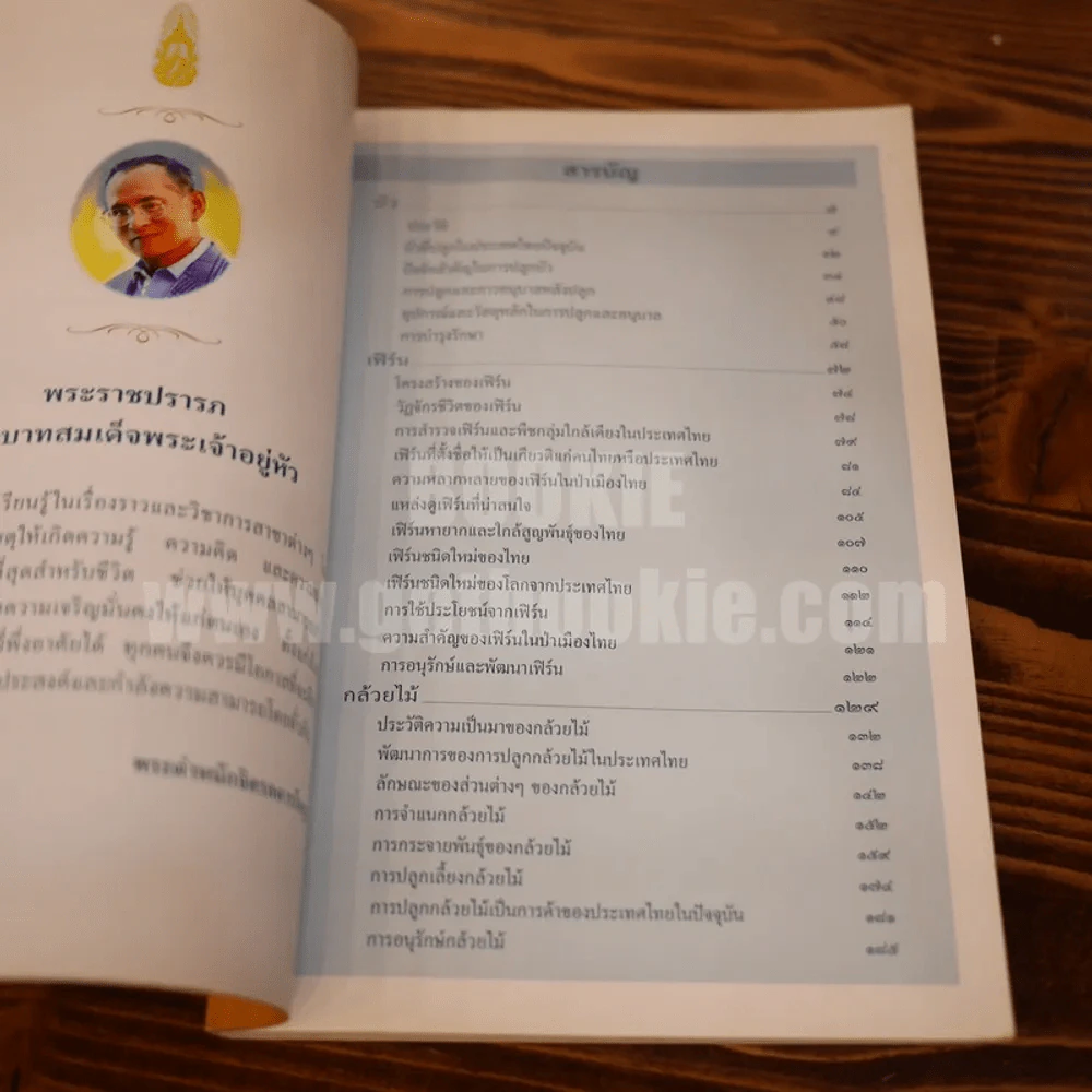 สารานุกรมไทยสำหรับเยาวชน ฉบับเสริมการเรียนรู้ เล่ม 13 บัว เฟิร์น กล้วยไม้ รูปที่ 5
