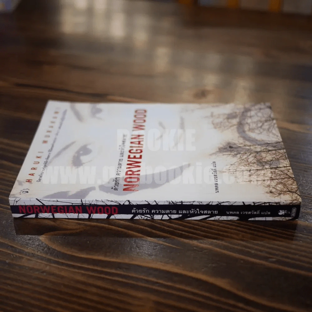 Norwegian Wood ด้วยรัก ความตาย และหัวใจสลาย - Haruki Murakami รูปที่ 2