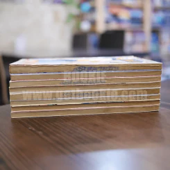 What's Michael? เหมียวไม่ธรรมดา 8 เล่มจบ (เล่ม 8 สภาพบวมน้ำ) รูปที่ 4