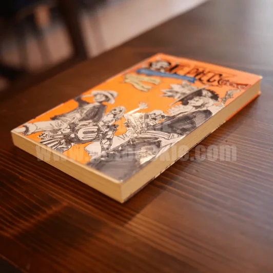 วันพีซ Novel เรื่องราวของกลุ่มโจรสลัดหมวกฟาง รูปที่ 3
