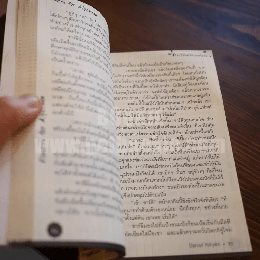 ดอกไม้แด่อัลเกอร์นอน ต้นแบบซีรี่ส์เกาหลีเรื่อง Hello God รูปที่ 8