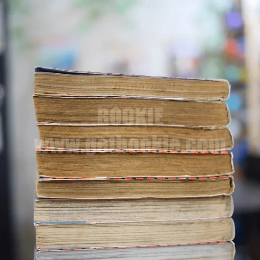เรียกเขาว่าอีกา 26 เล่มจบ + ภาคพิเศษ 3 เล่มจบ รูปที่ 10
