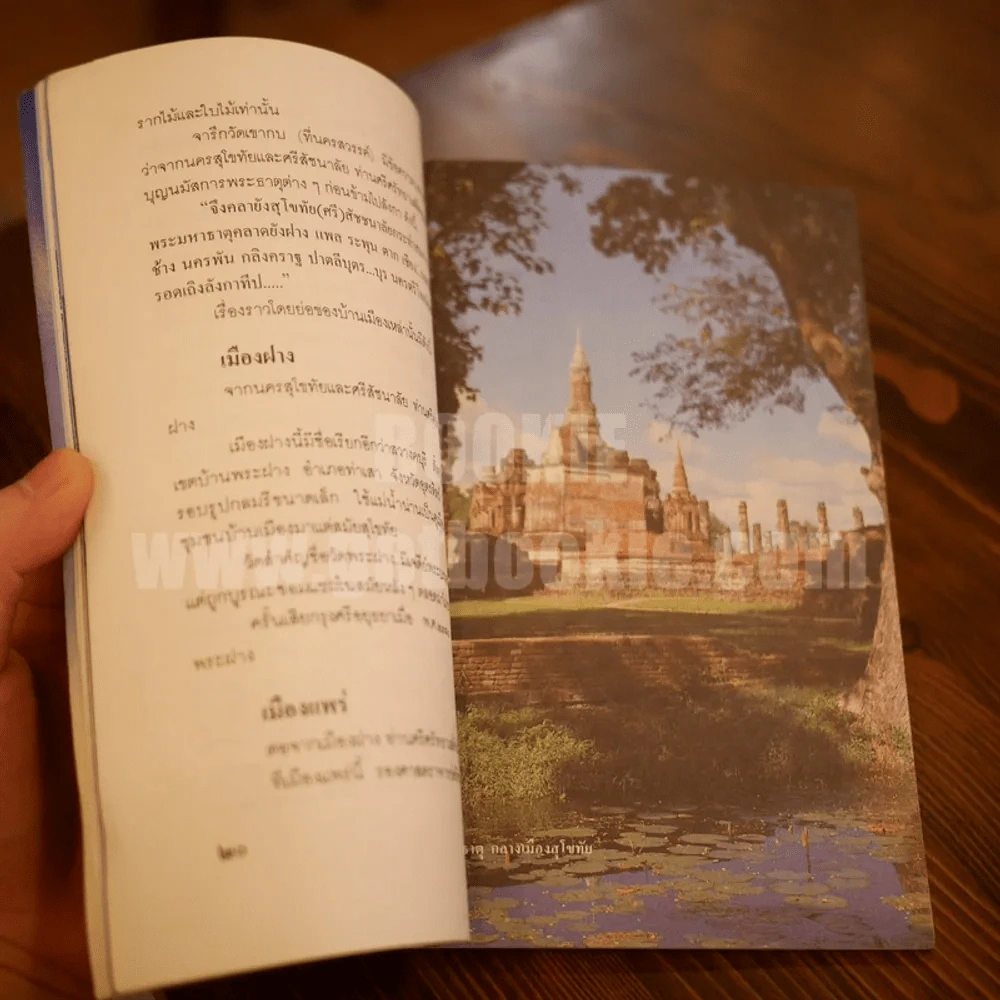 ศรีศรัทธา ขุนทัพกรุงสุโขทัย ผู้ทิ้งอาวุธมุ่งพุทธภูมิ - สุจิตต์ วงษ์เทศ รูปที่ 7
