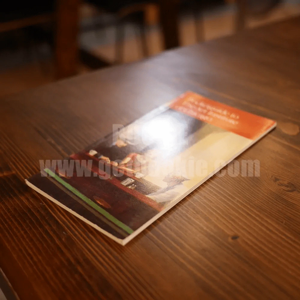 Pocketguide to The Art Institute of Chicago รูปที่ 3