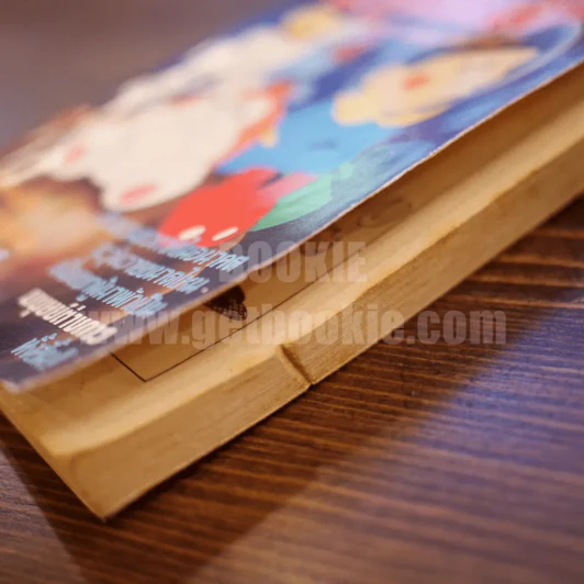 21 เอม่อน ตอนผจญภัยต่างดาว รูปที่ 8