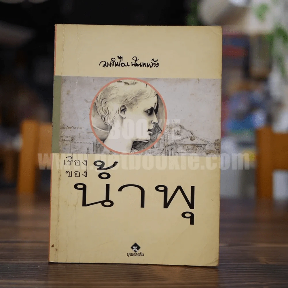 เรื่องของ น้ำพุ - วงศ์เมือง นันทขว้าง รูปที่ 1
