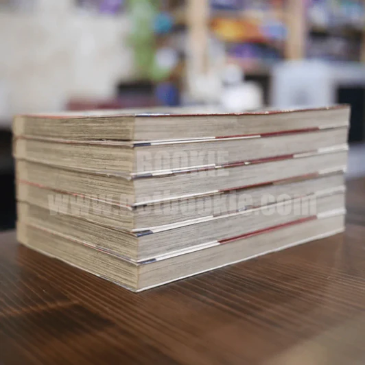 เจ้าหญิงอาถรรพ์มิโดโระ 6 เล่มจบ รูปที่ 4