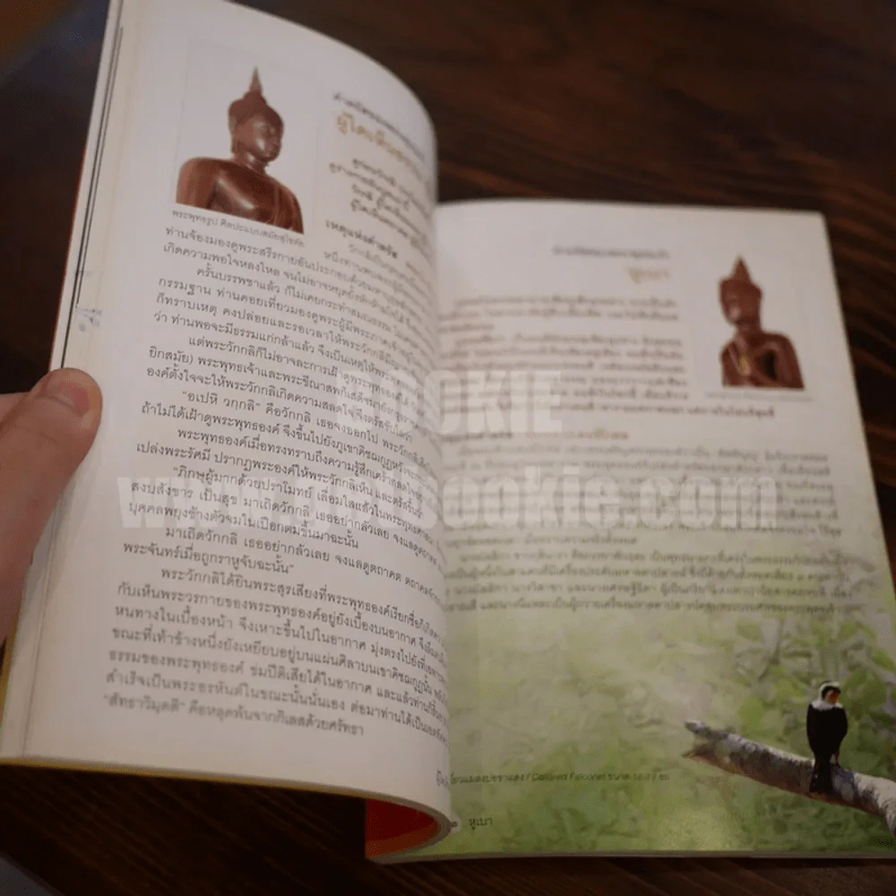 คำตรัสของพระพุทธเจ้า เหตุแห่งคำตรัส - นิดดา หงษ์วิวัฒน์ รูปที่ 5