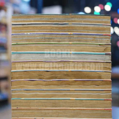 ต้องรอด 16 เล่มจบ (สภาพบวมน้ำหลายเล่มตามภาพ) รูปที่ 5