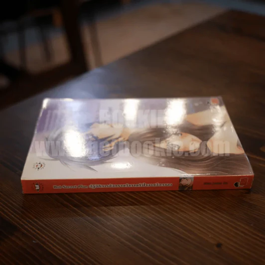 Hot Secret Plan ปฎิบัติการอันตรายท้าทายหัวใจนายมือกลอง รูปที่ 2