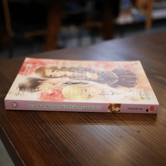 Guardian Knight พิชิตหัวใจคุณชายอัศวิน รูปที่ 2