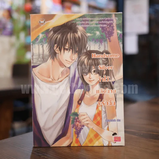 Handsome Silver จำไว้...แล้วนายจะรักฉัน รูปที่ 1