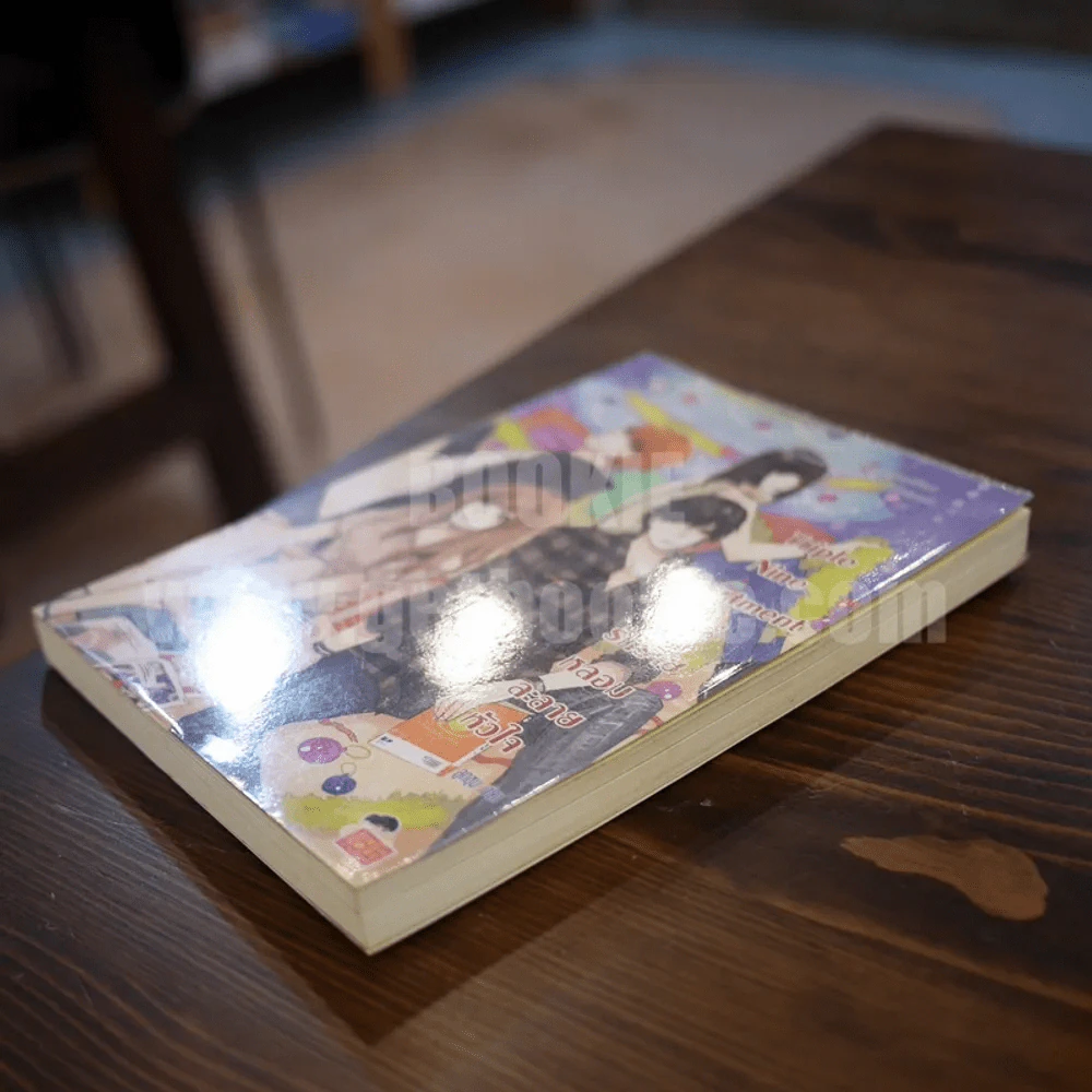 Triple Nine Apartment ดีกรีรักร้ายหลอมละลายหัวใจ รูปที่ 3