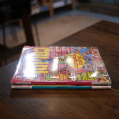 เกียวโต Kyoto + โตเกียว Tokyo Travel Guide รูปที่ 2