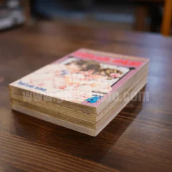 เจ้าชายน้อยต่างภพ 4 เล่มจบ รูปที่ 4