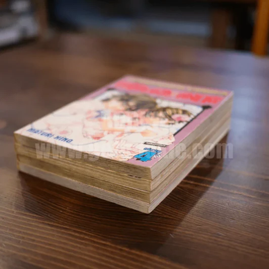 เจ้าชายน้อยต่างภพ 4 เล่มจบ รูปที่ 4