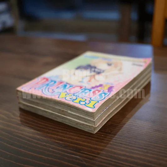 Princess Ver.1 3 เล่มจบ รูปที่ 4
