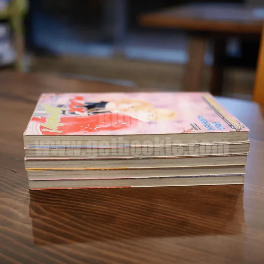 Max Lovely 5 เล่มจบ รูปที่ 3