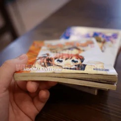 Kiss Kiss 3 เล่มจบ (เล่ม 3 สภาพบวมน้ำ) รูปที่ 6