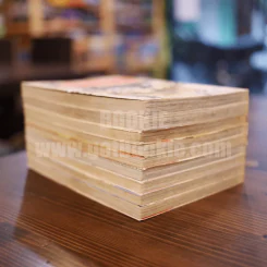 เทพแห่งแหวนคาริน 7 เล่มจบ + ภาค 2 เล่ม 1-2 รูปที่ 3