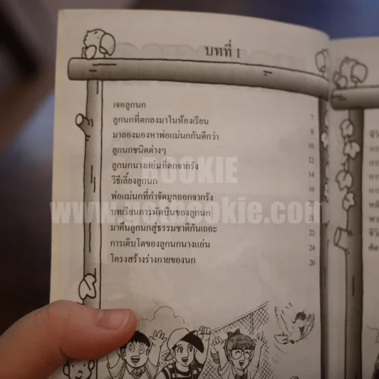นกหายาก สาระ ความรู้ คู่การ์ตูน รูปที่ 8