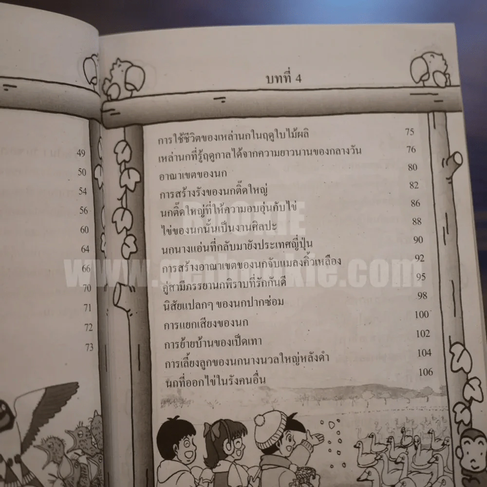 นกหายาก สาระ ความรู้ คู่การ์ตูน รูปที่ 11