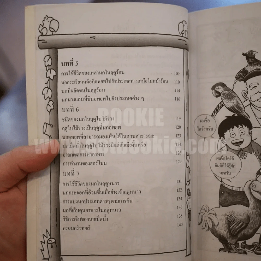 นกหายาก สาระ ความรู้ คู่การ์ตูน รูปที่ 12