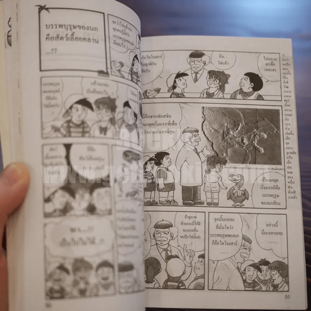 นกหายาก สาระ ความรู้ คู่การ์ตูน รูปที่ 14