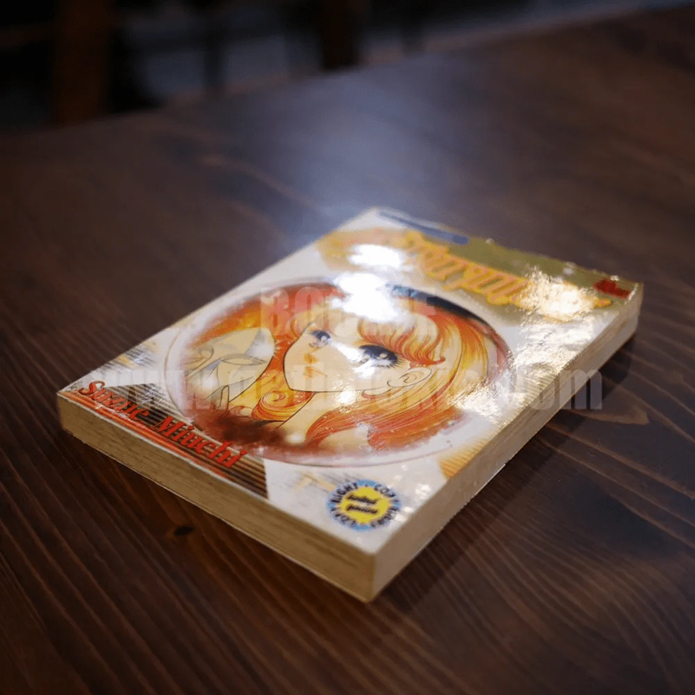 หน้ากากแก้ว เล่ม 1 รูปที่ 3