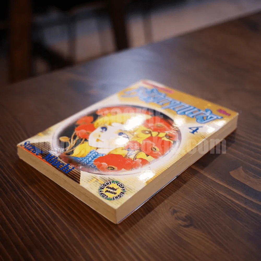 หน้ากากแก้ว เล่ม 4 รูปที่ 3