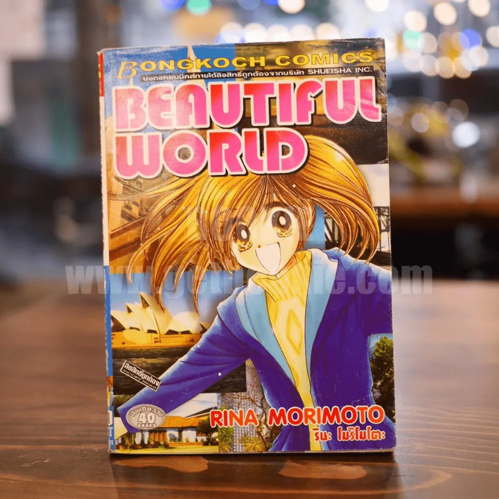 Beautiful world รูปที่ 1