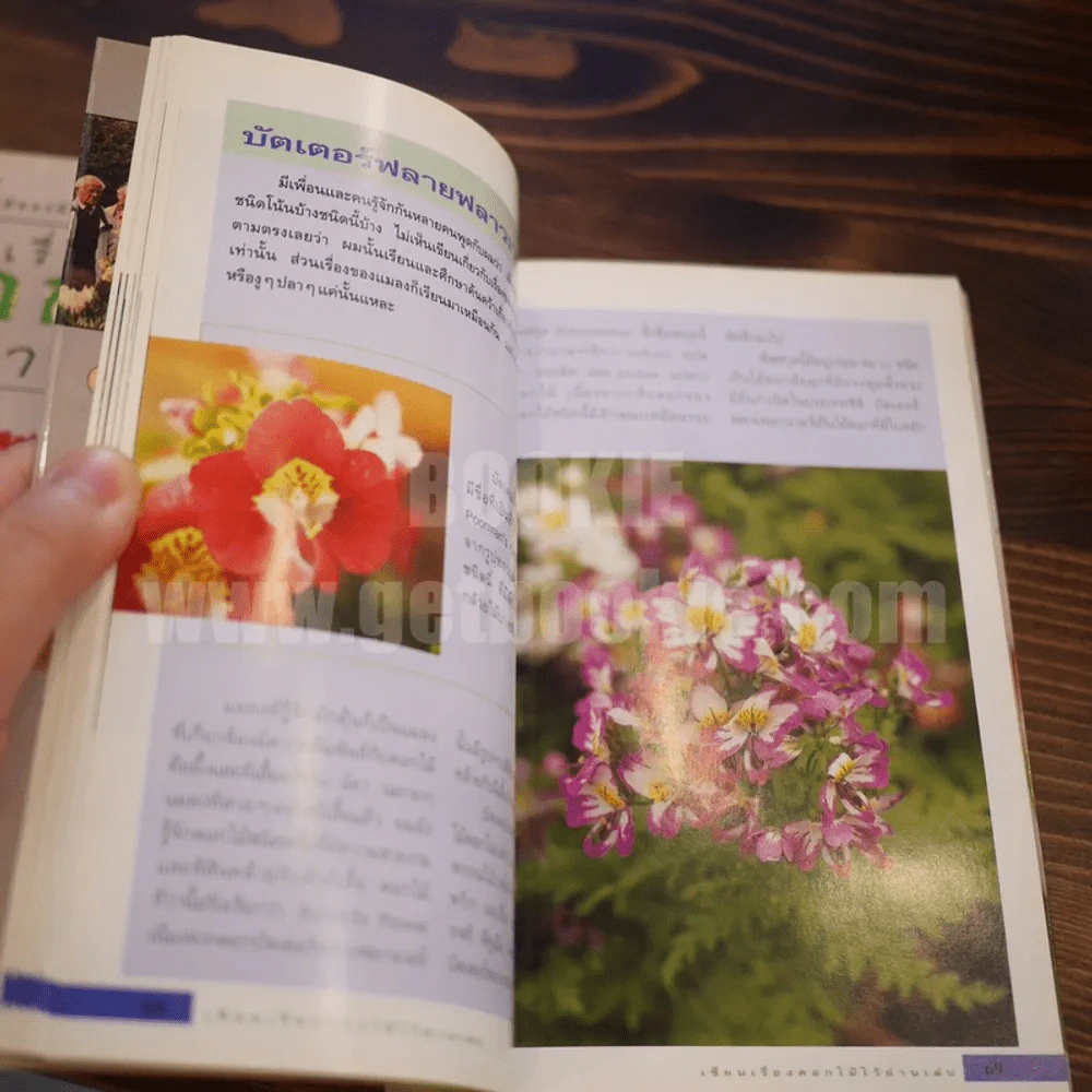 เขียนเรื่องดอกไม้ไว้อ่านเล่น เล่ม 1-2 รูปที่ 7