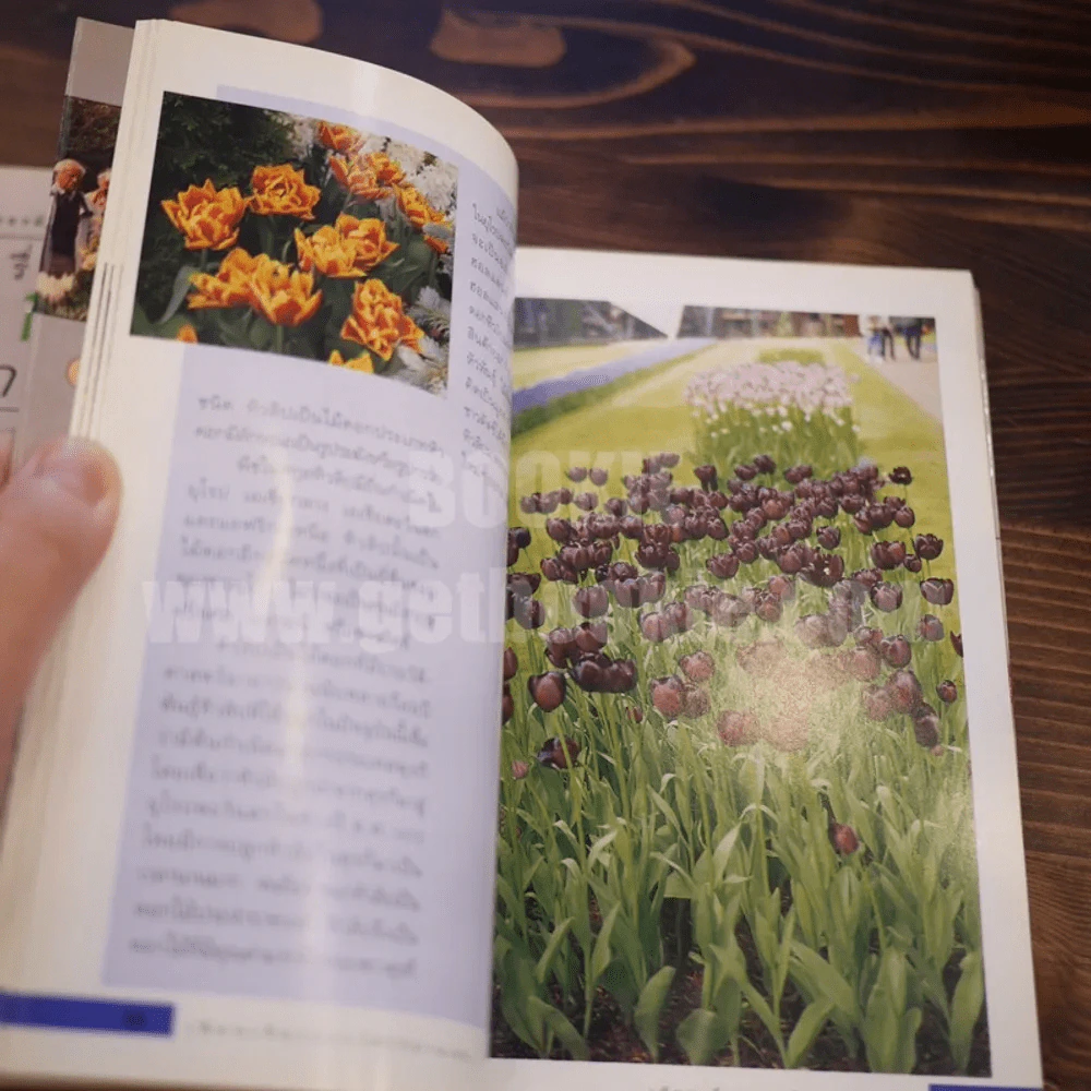 เขียนเรื่องดอกไม้ไว้อ่านเล่น เล่ม 1-2 รูปที่ 8