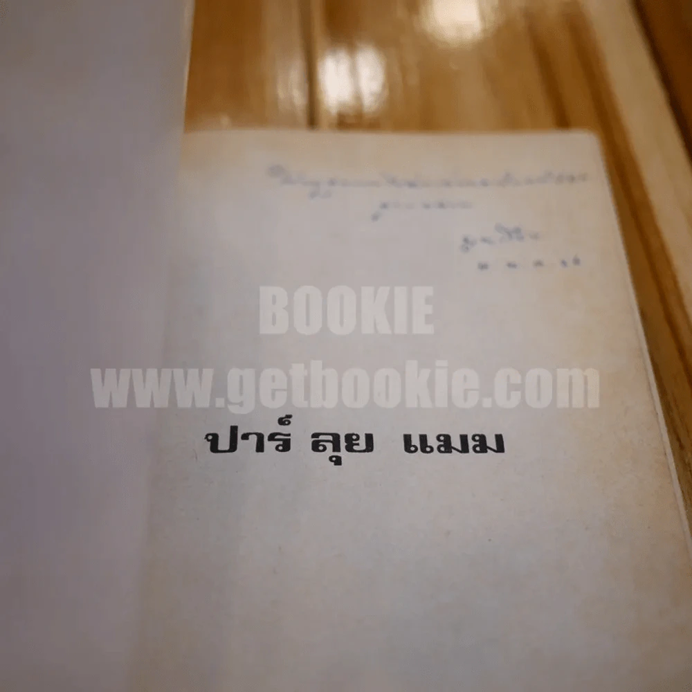 ปาร์ ลุย แมม - ม.ล.มานิจ ชุมสาย รูปที่ 3
