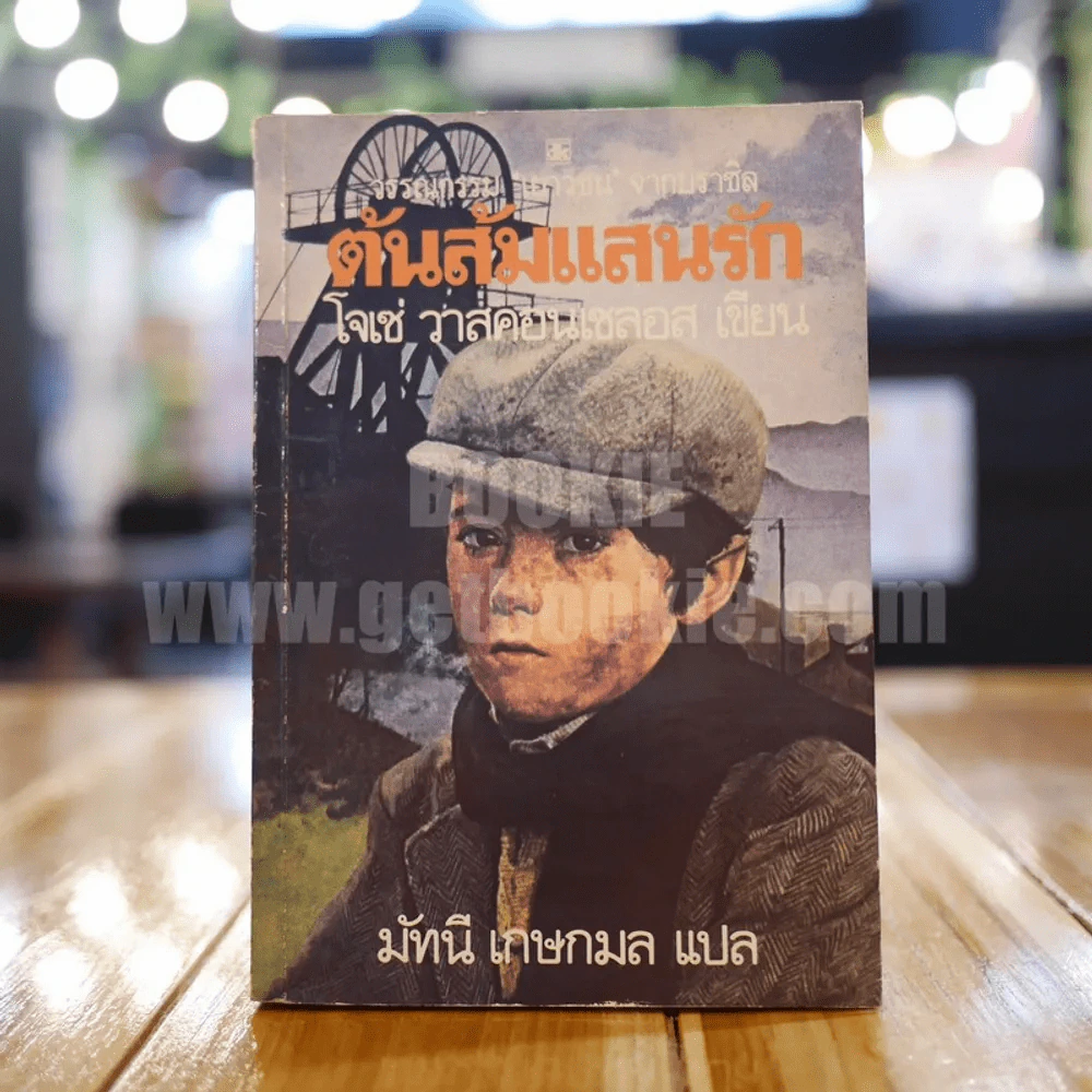 ต้นส้มแสนรัก ภาค 1 รูปที่ 1