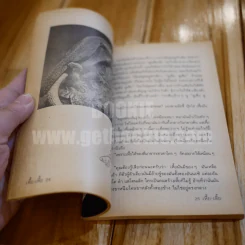 เรื่อง เหี้ย-เหี้ย - หมอนคร รูปที่ 4