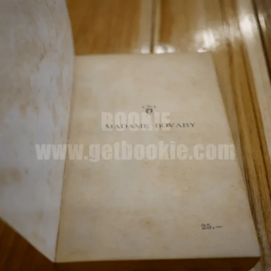 ชู้ - กุสต๊าฟ โฟลแบร์ รูปที่ 4